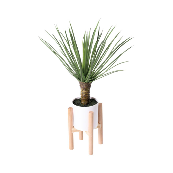 アガベスタンディングポット