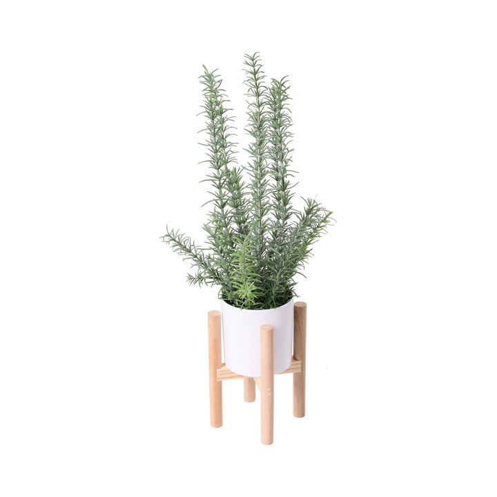 ローズマリースタンディングポット