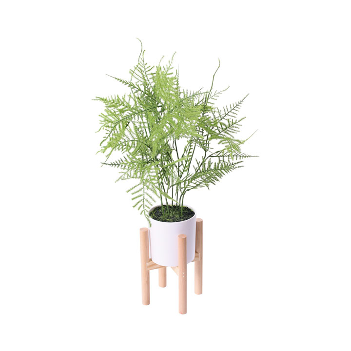 アスパラガススタンディングポット