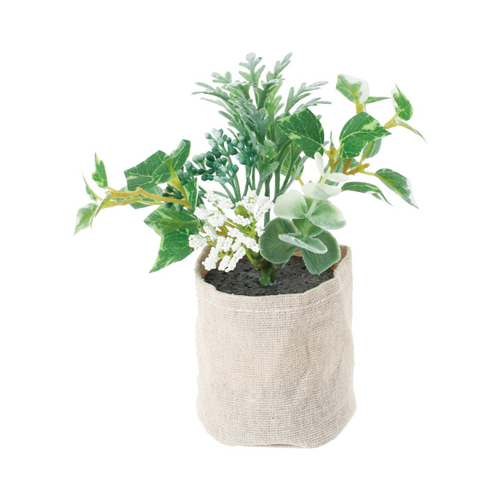 ミニアイビーキャンバスポット