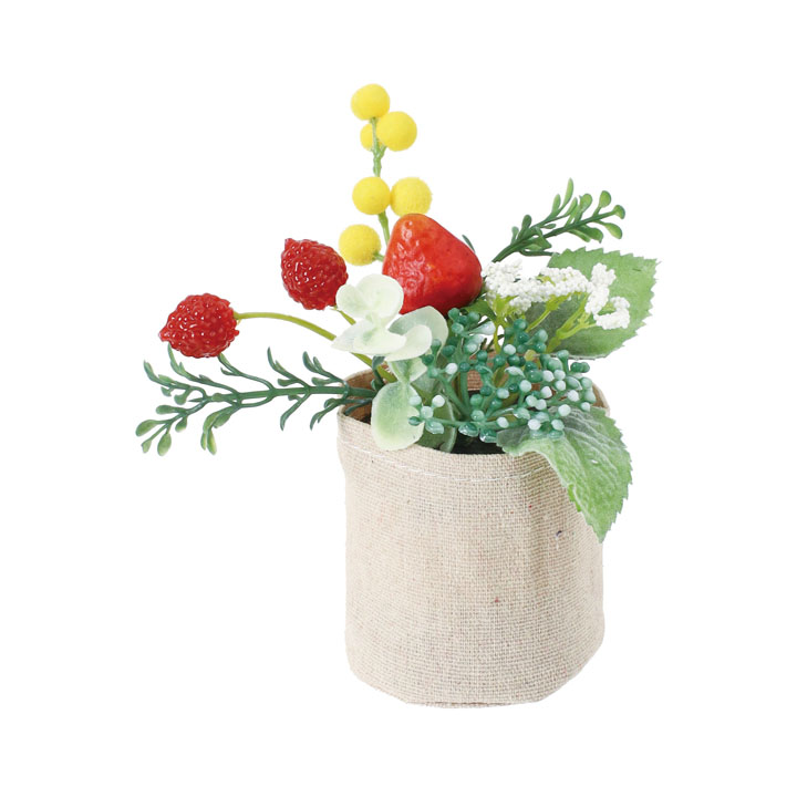 ベリーミックスキャンバスポット