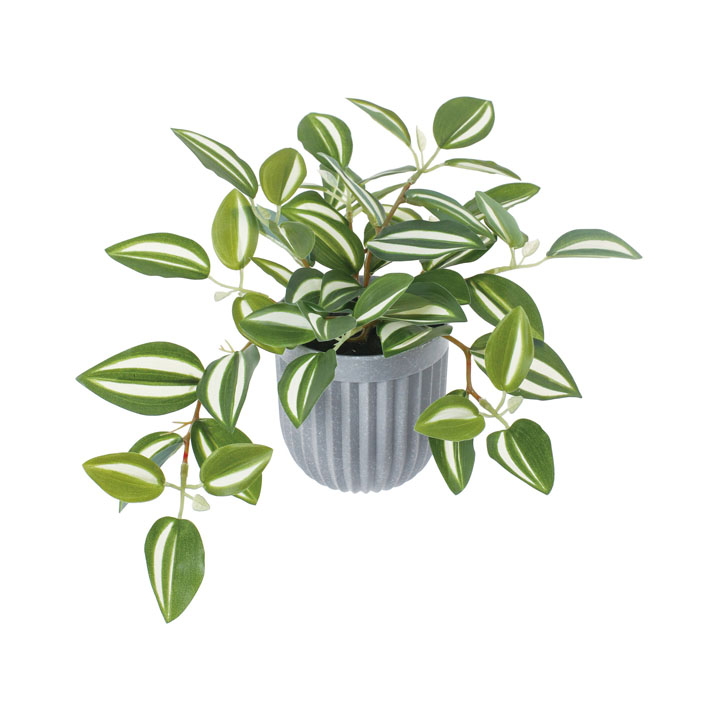 ワンダリングジューポット