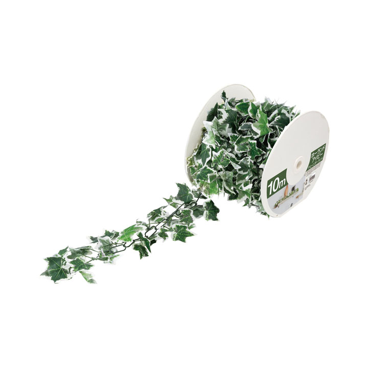 ホーランドアイビーチェーン（10m）