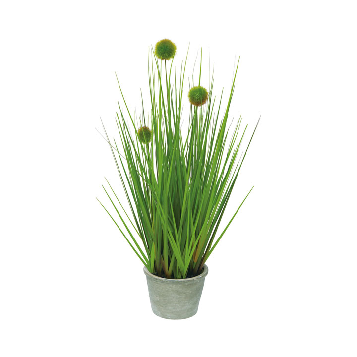 ポンポングラスポットS