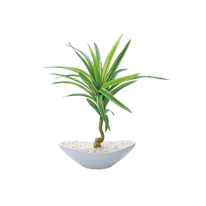 ユッカポット（S）