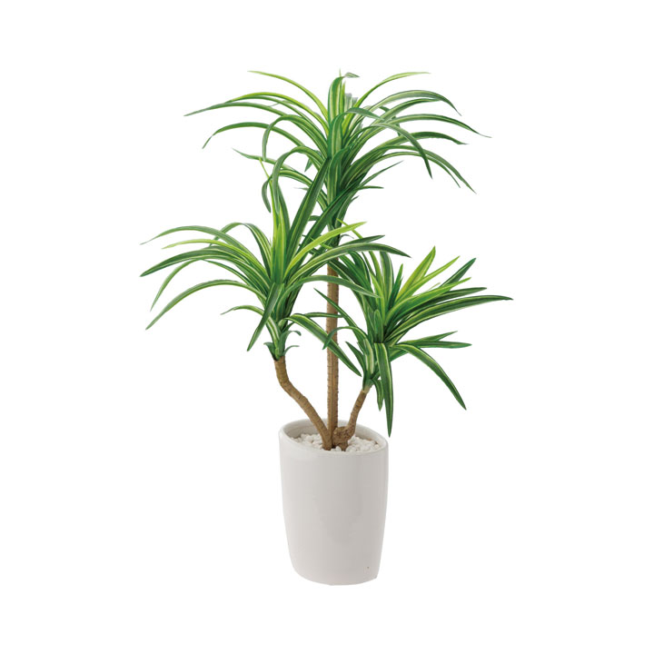 ロングユッカオーバルポット