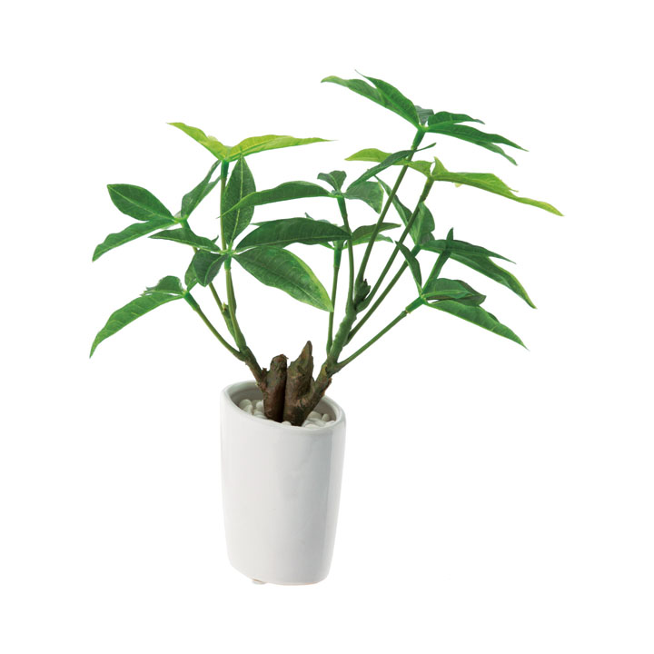 スリムパキラオーバルポット