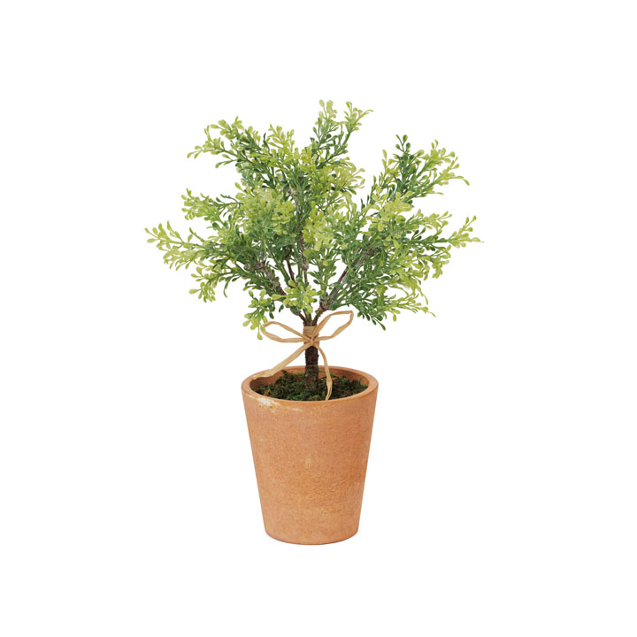 プラスチックリーフポット