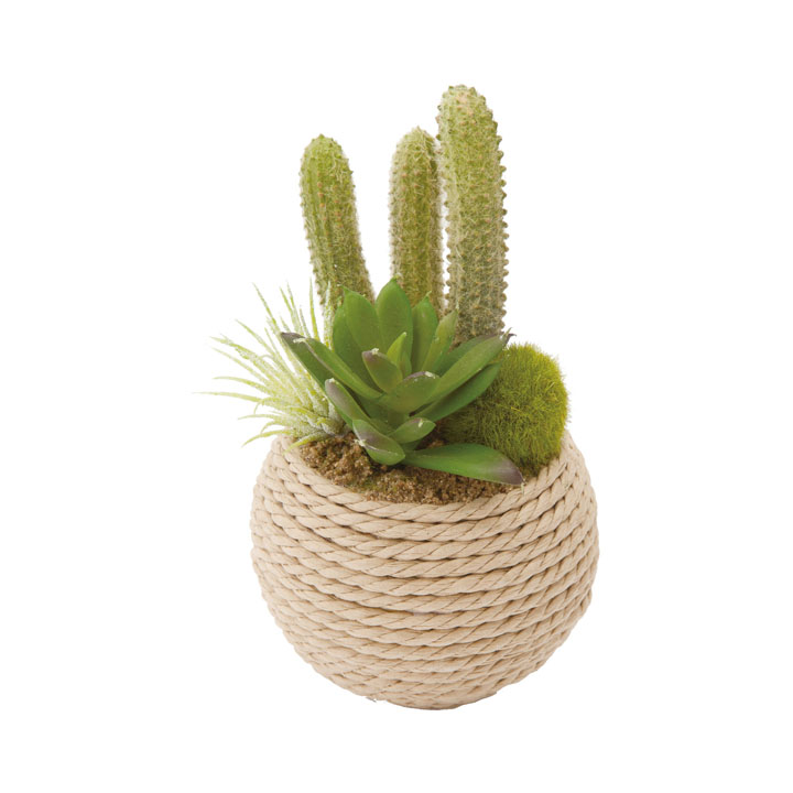 セダムミックスロープポット