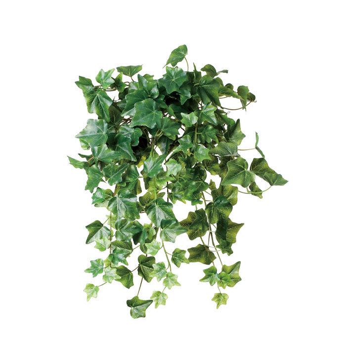 アイビーハンガー