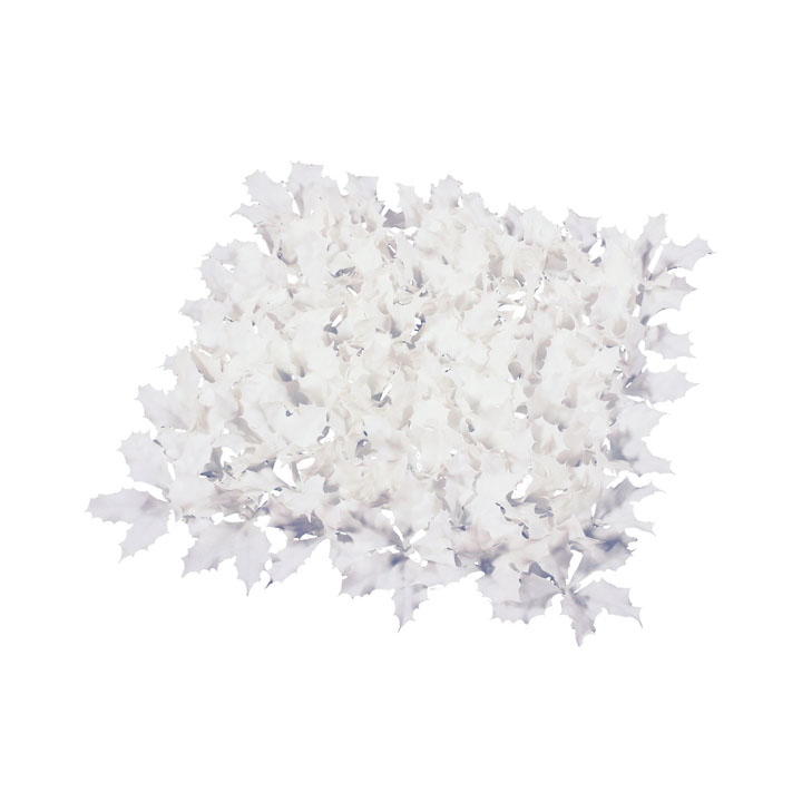 ホワイトホーリーマット