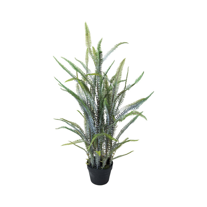 フロックシダーポット