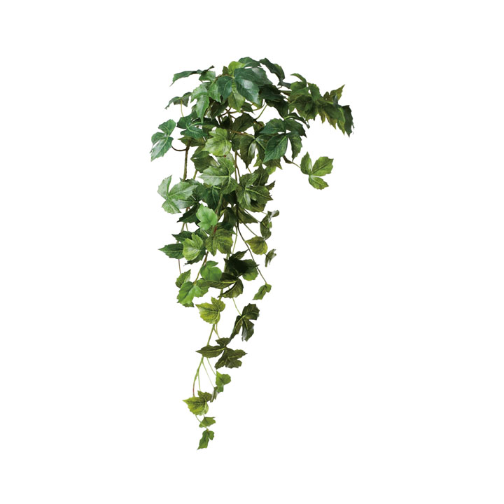 エレンダニカハンガー