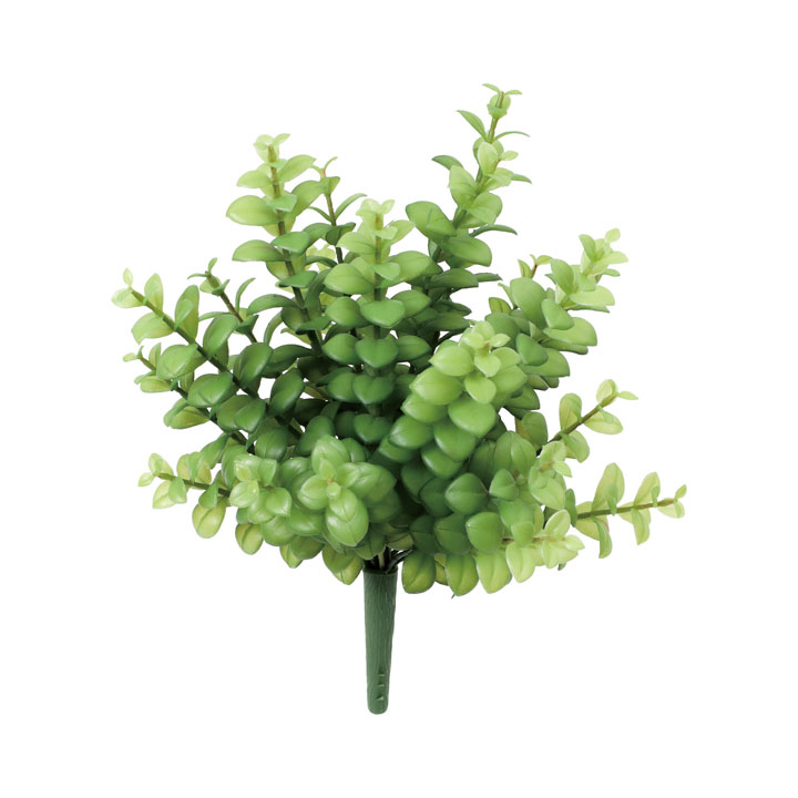 ユーカリブッシュ