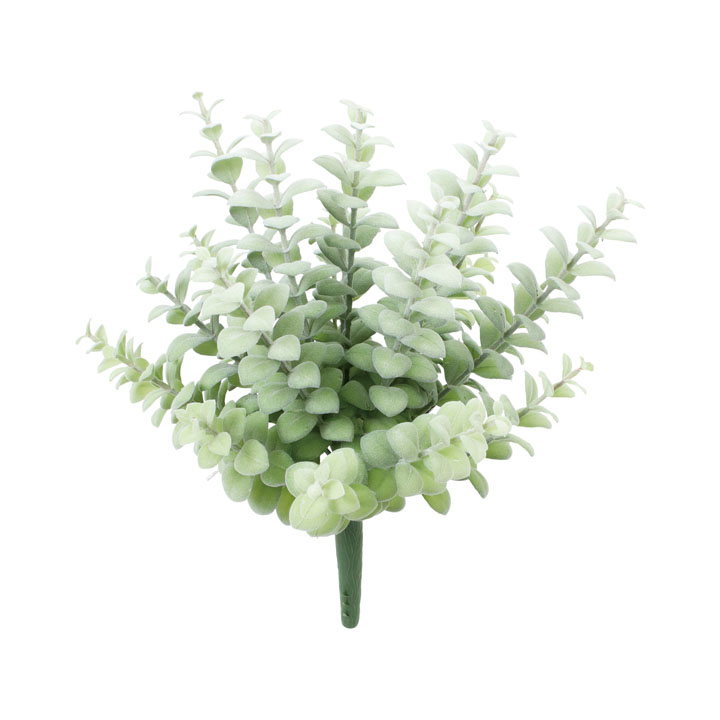 フロッキーユーカリブッシュ