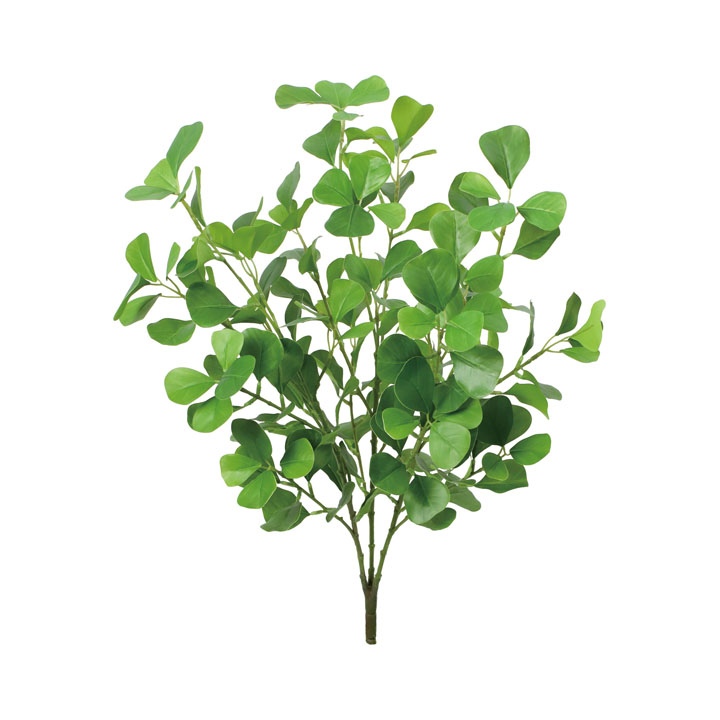 ハートリーフブッシュ