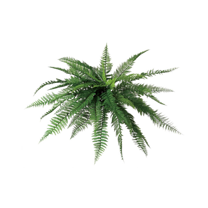 ジャンボレザーファンブッシュ