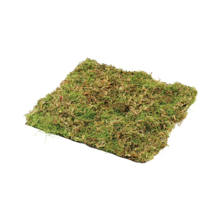 モスマット30×30