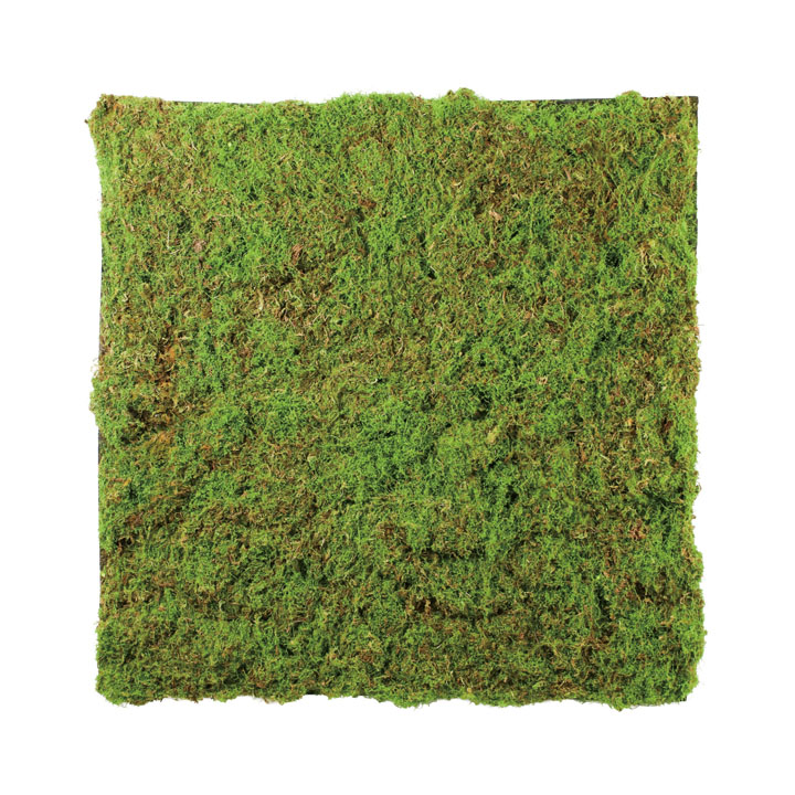 モスマット100×100