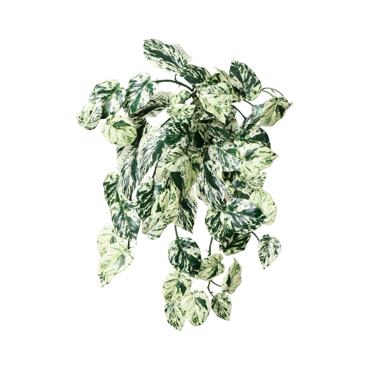 リサイクルマーブルポトスブッシュ