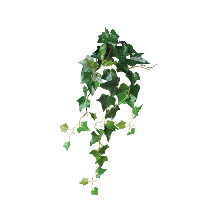 リサイクルアイビーブッシュ