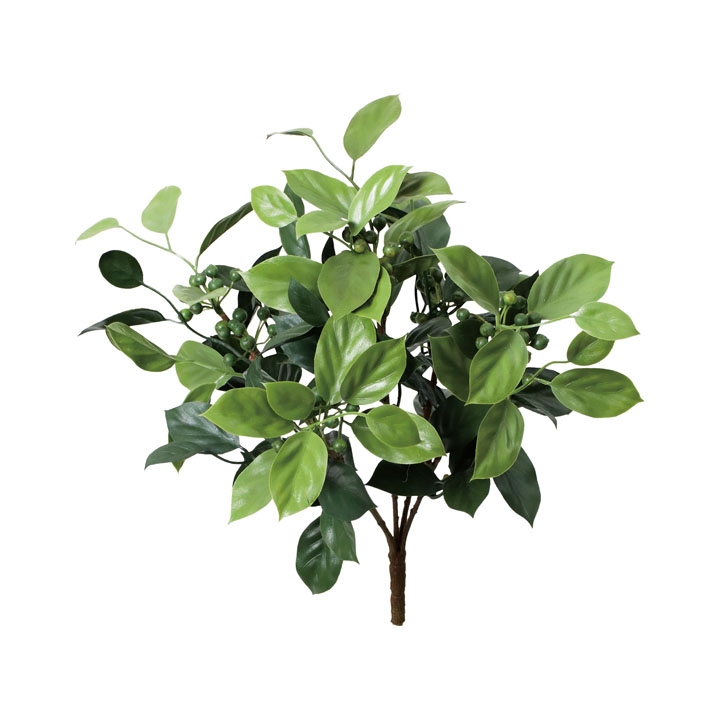 アイビーベリーブッシュ