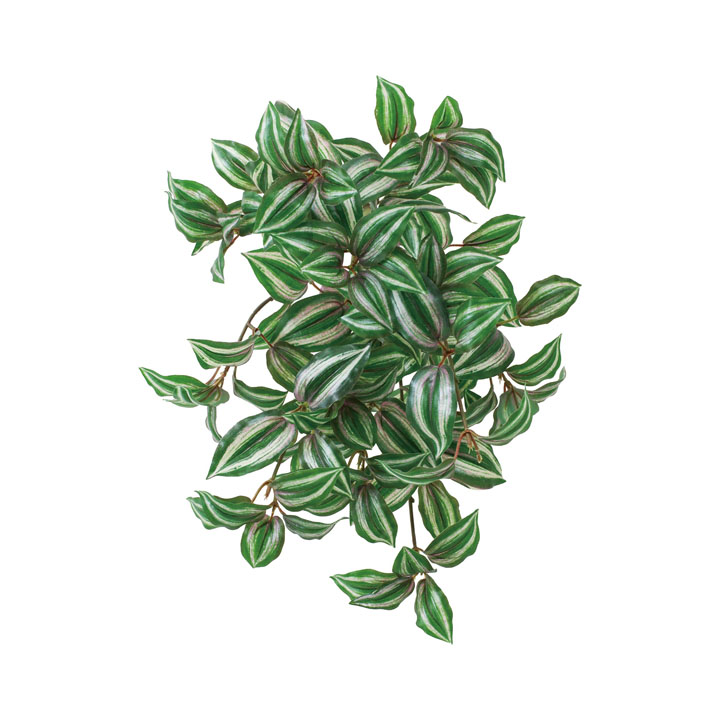 ボウエンUVゼブラハンギングブッシュ