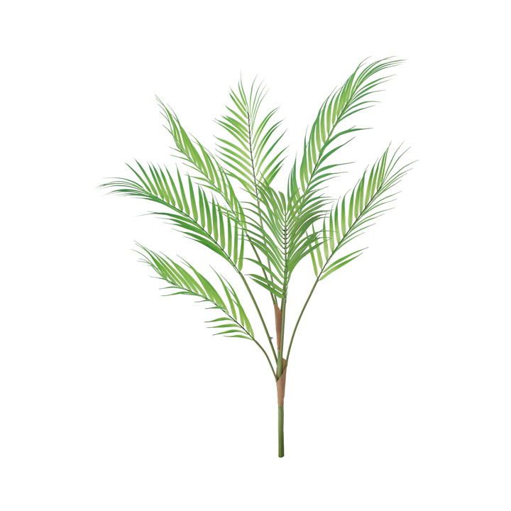 アレカヤシブッシュ