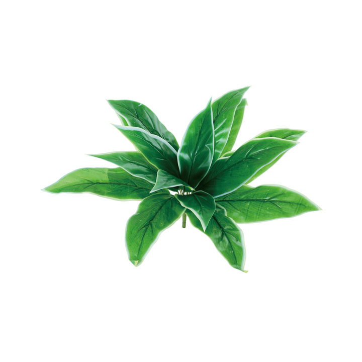 ホスタリーフブッシュ