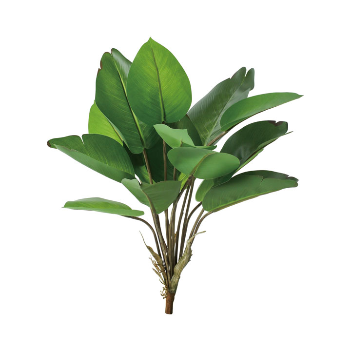 カンナブッシュ