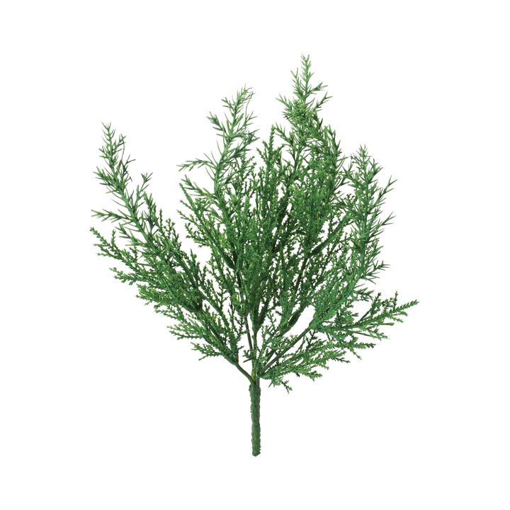 ジュニパーブッシュ