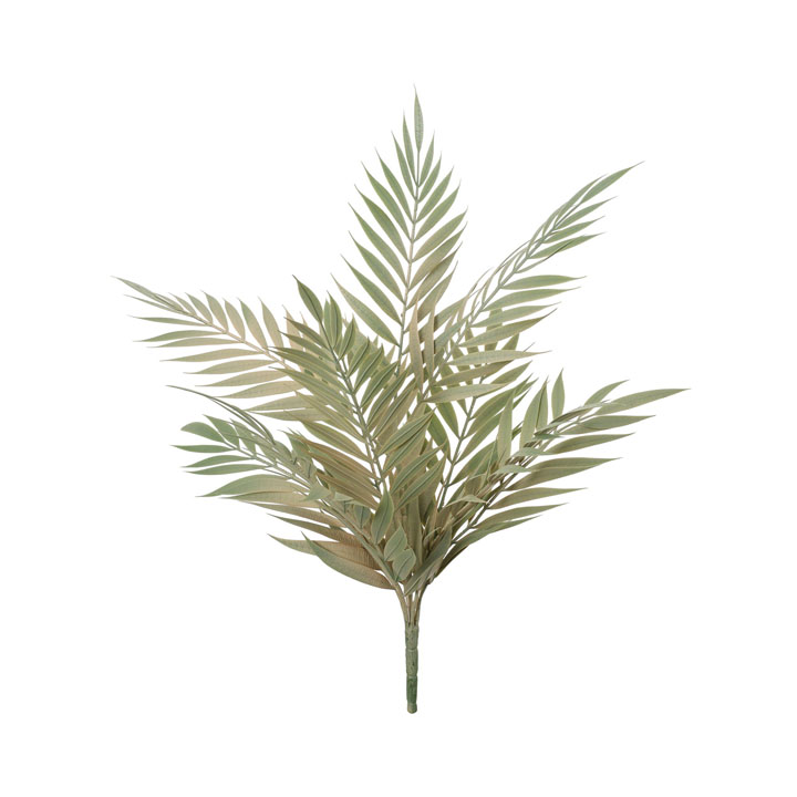 テーブルヤシブッシュ