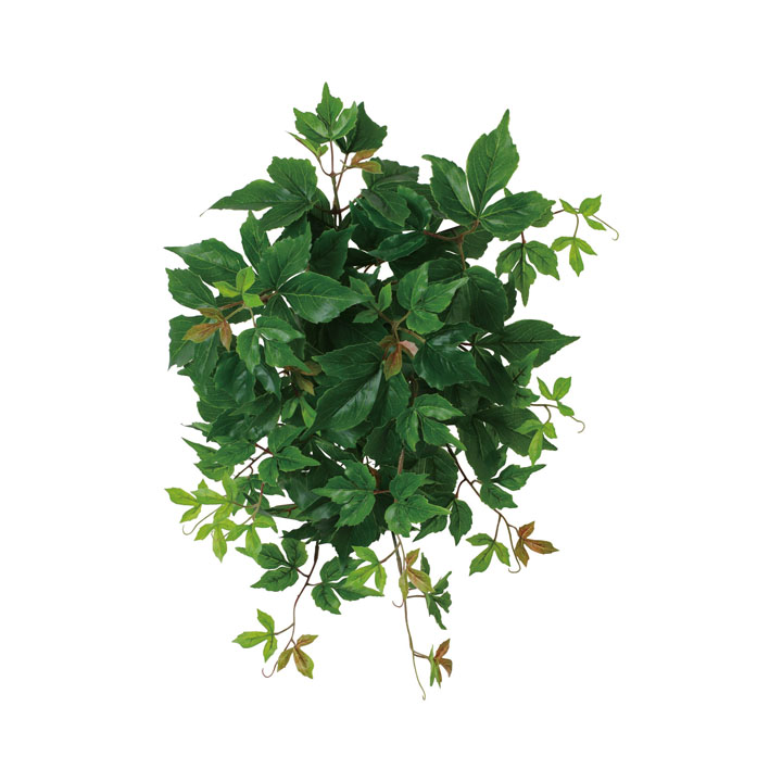 UVリサイクルポトスアイビーブッシュ