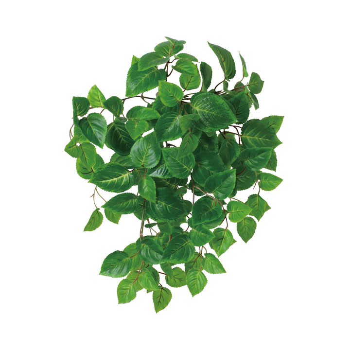 UVリサイクルコリウスブッシュ