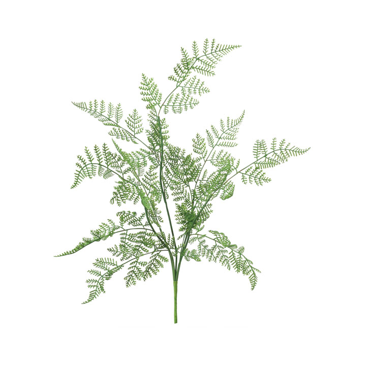 フレキシブルシダーブッシュ