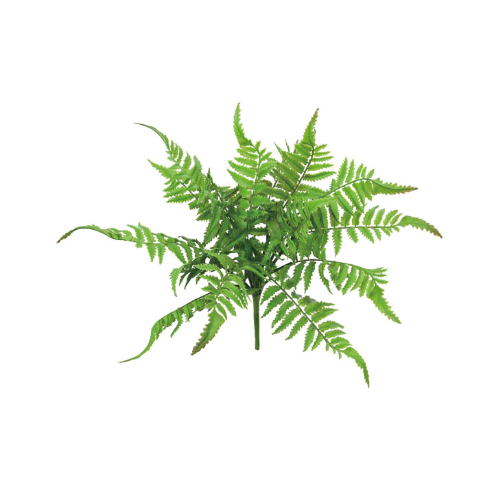 ツリーファームブッシュ