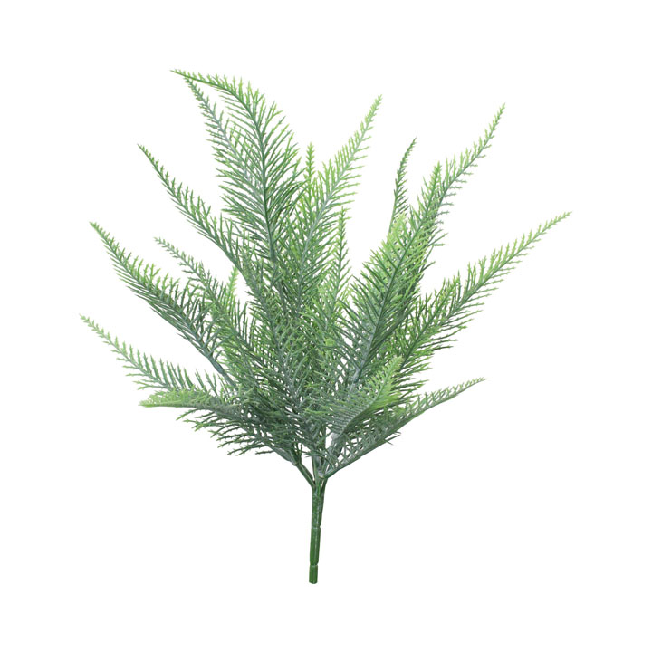 フロックシダーブッシュ