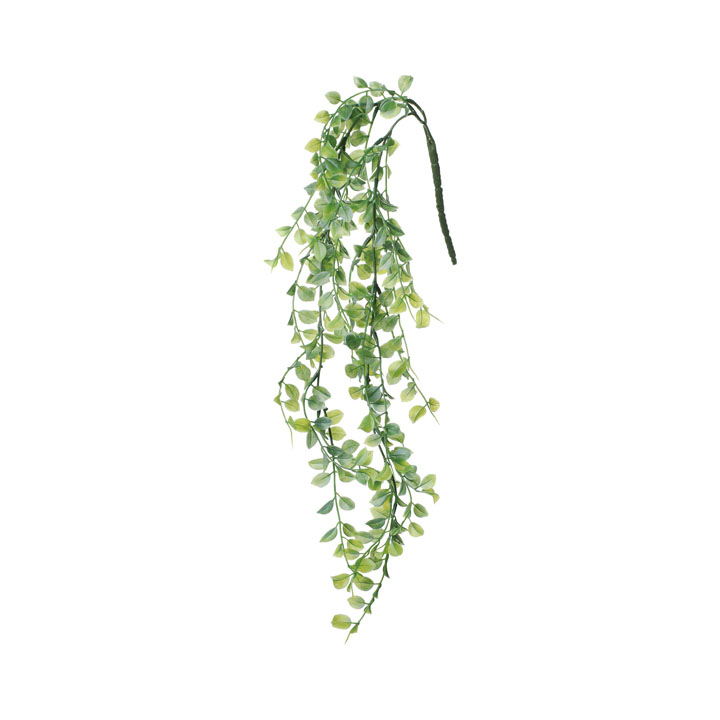 ブラックローカストハンガー