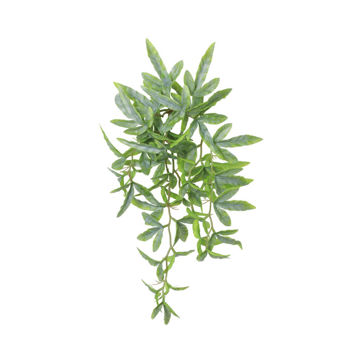 プテリスハンガー