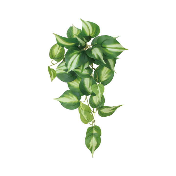 ポトスハンガーS