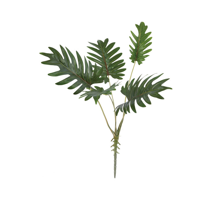 クッカバラブッシュ