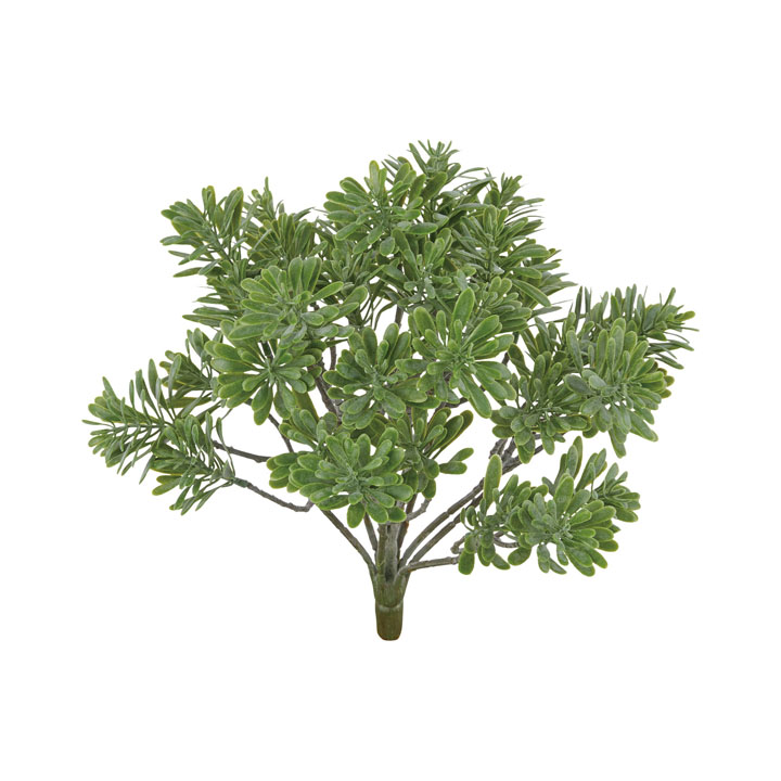 フロッキーボックスウッドブッシュ