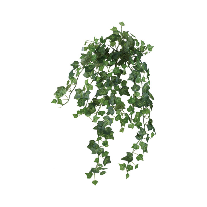 イングリッシュアイビーブッシュL