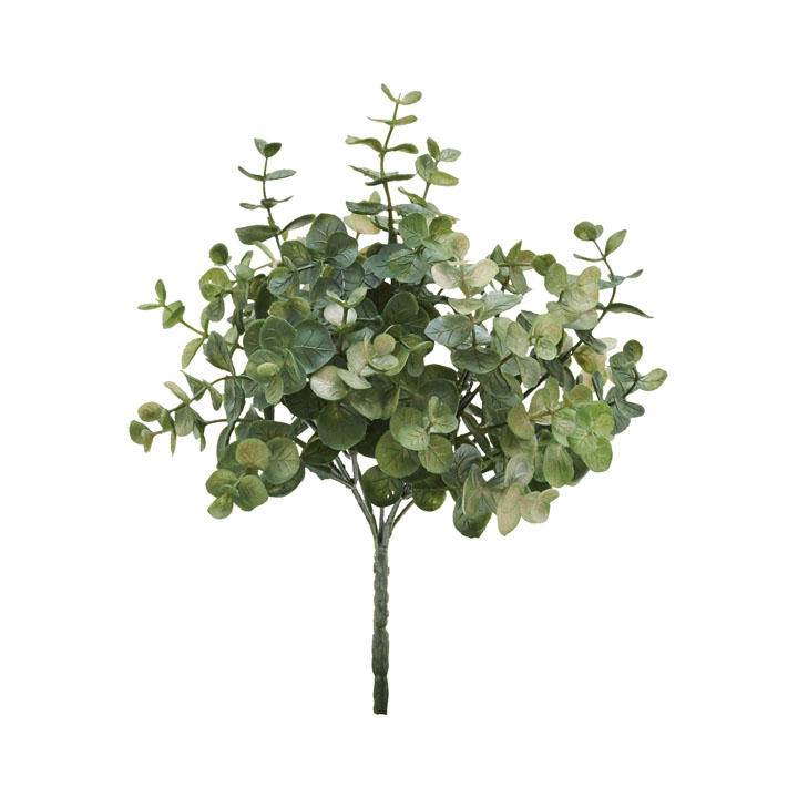 ユーカリブッシュ