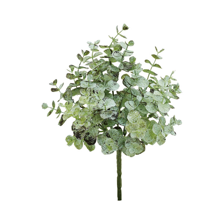 ユーカリブッシュ