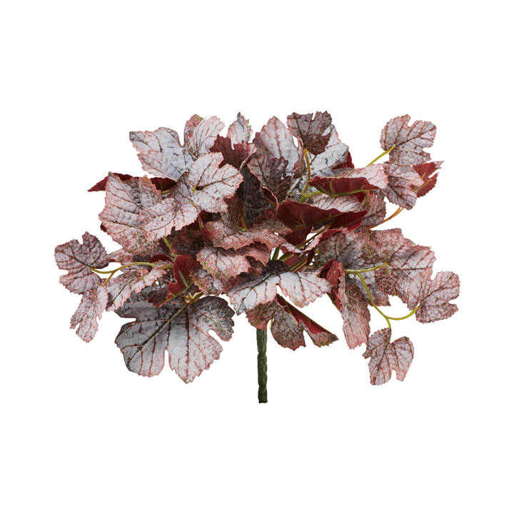 カラーヒューケラブッシュ