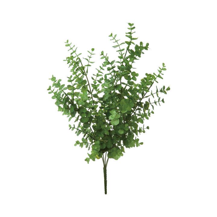 ユーカリブッシュ