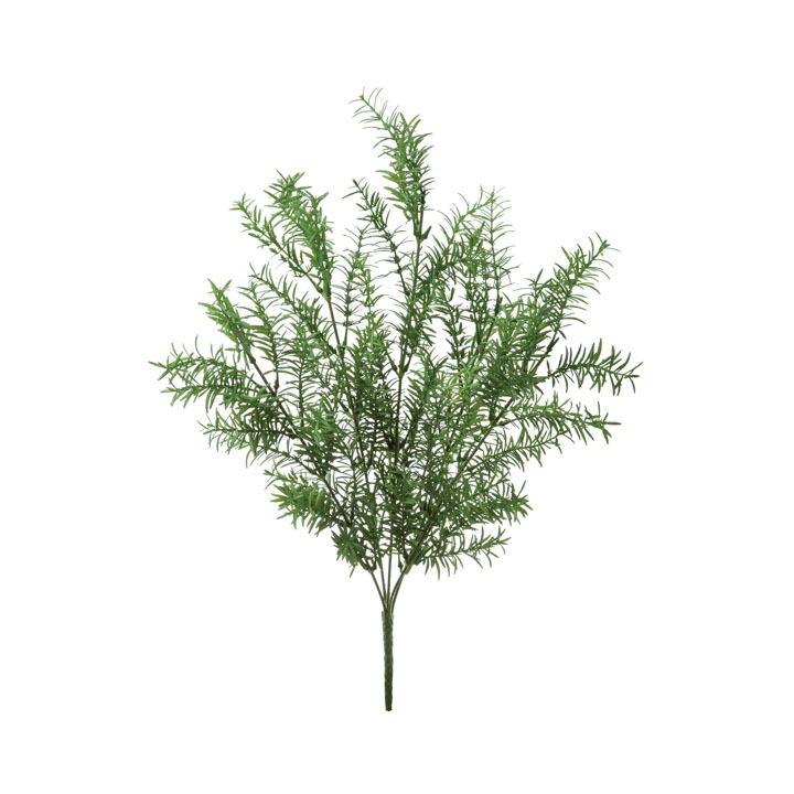 ローズマリーブッシュ