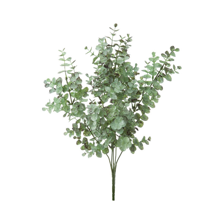 ユーカリブッシュ