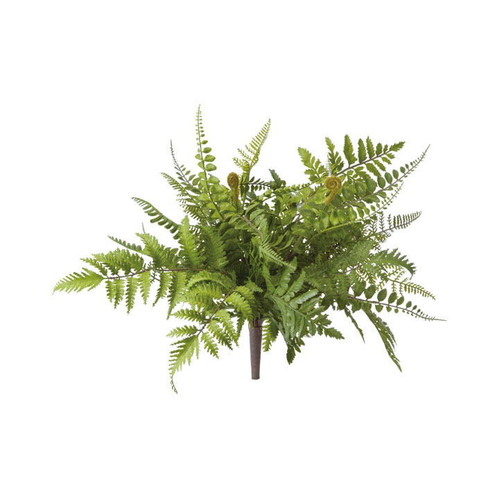 ミックスファーンブッシュ